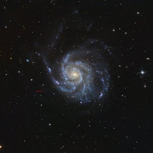 M 101 mit Supernova 2023ixf