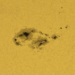 Sonne_WL_3354__28062023.jpg