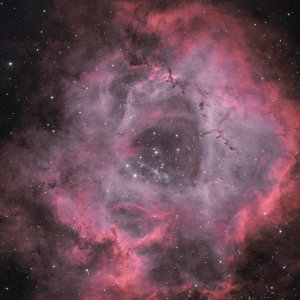 TN NGC 2237 BC - RASA 8 - ASI 183 MCP.jpg