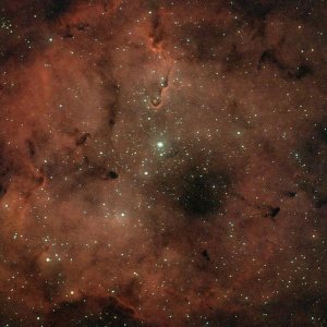 IC1396