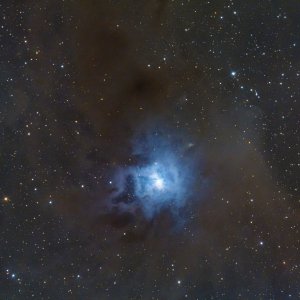 NGC7023 FINAL2 small.jpg