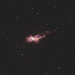 NGC 6302 Ha+OIII (Bi-Color)  "Schmetterlingsnebel"