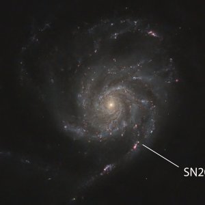 M101 mit SN2023ifx