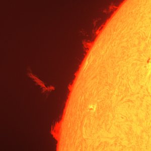 Feuervogel -  Protuberanz am 16-07-23 um 09-58 MESZ.jpg