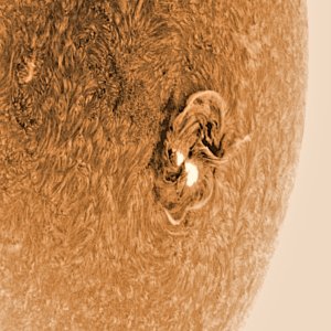 AR 13363 am 16-07-23 um 10-01 MESZ im H-Alphalicht invertiert und eingefärbt mit PST-Umbau.jpg