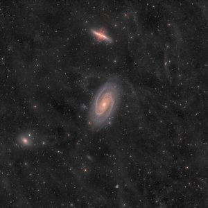 Die M81 Gruppe im kosmischen Staub