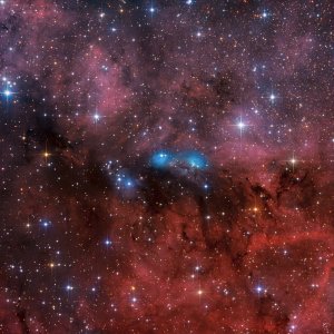 NGC6914 Nebelkomplex