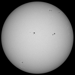 FOA-60 250723 10_26_50 2.jpg