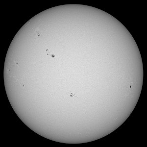 FOA-60 290723 17_10_39.jpg
