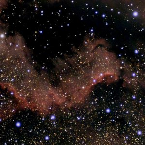 NGC 7000