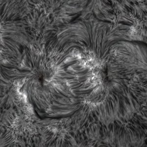 AR200b.jpg