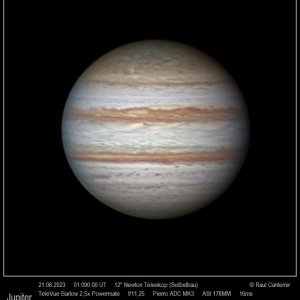 Jupiter mit Monokamera