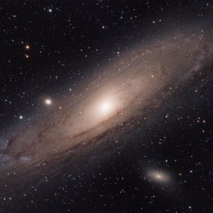 M31