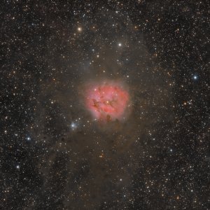 IC 5146, der Kokonnebel