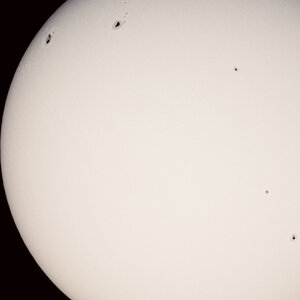 IMG_1520 (1).jpeg