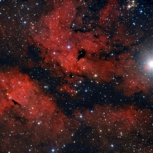 IC 1318 Butterfly Nebular