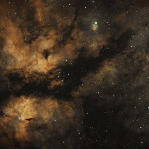 IC1318 - Schmetterlingsnebel