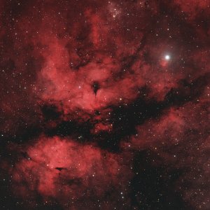 IC 1318, der Schmetterlingsnebel im Stil einer Tribandaufnahme