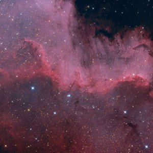 NGC7000 Cygnus Wall