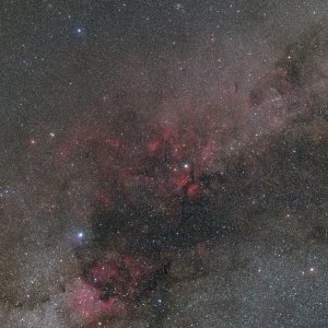 Cygnus Widefield.jpg