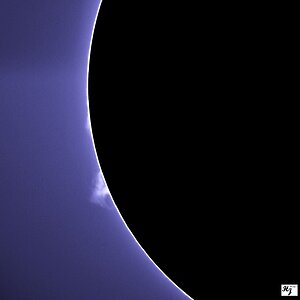 IMG_9780_2 C MF AE.jpg
