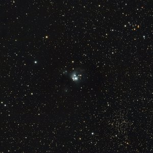 NGC7129 2023-09-08 ASI294MC 800mm L-Pro 124m SirilGxPs.jpg