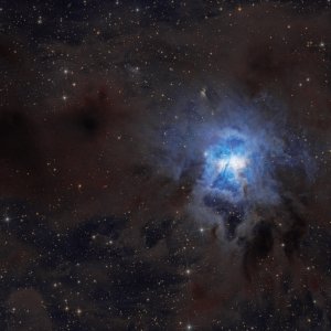 NGC 7023 Iris Nebula rework