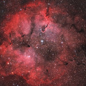 IC 1396 RGBHOO