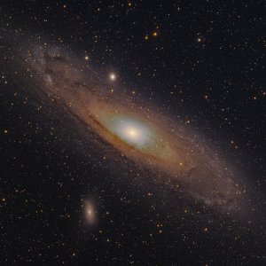 Mein Foto-Debüt: M31 Andromeda