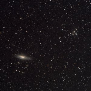 NGC7331