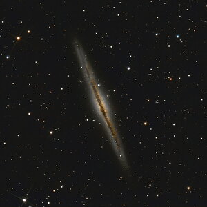 NGC981_102x60s (2).jpg