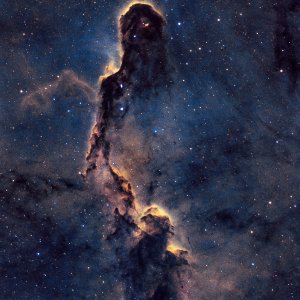 IC1396 | Elephant's Trunk Nebula