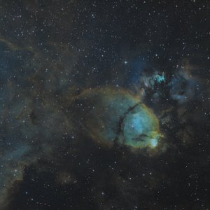 IC 1795, der Fischkopfnebel