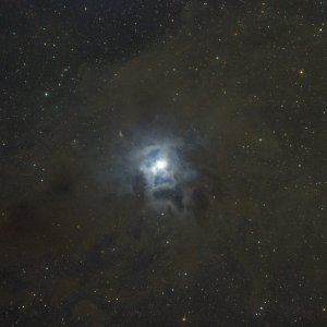 NGC 7023, der Irisnebel