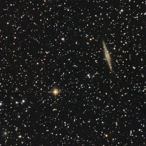 NGC891