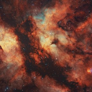 IC1318 - Der Schmetterlingsnebel