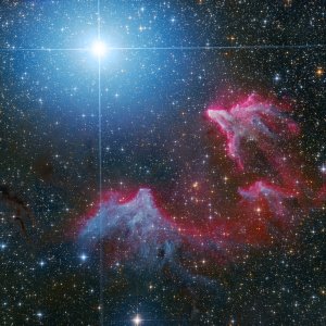 Sh2-185; IC59; IC63; γ Cas