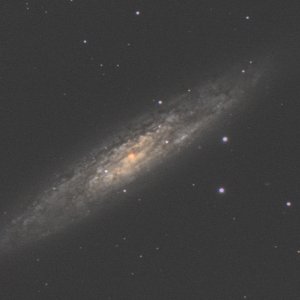 NGC 253 Sculptor.jpg