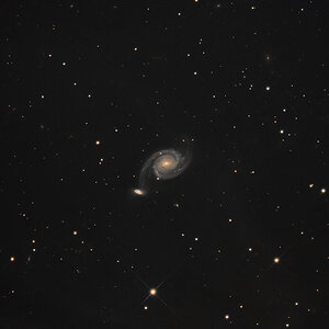 NGC 7753 crop.jpg