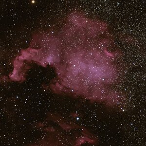 NGC 7000