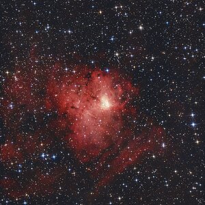 NGC 1491