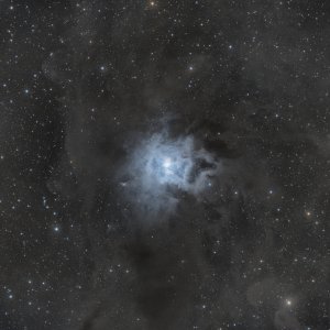 NGC 7023 - Iris Nebel