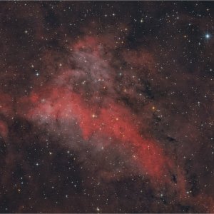 IC1318A.jpg