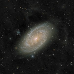 M81