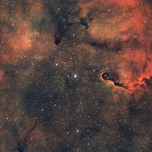 IC1396 Elefantenrüssel Nebel
