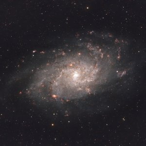 M33