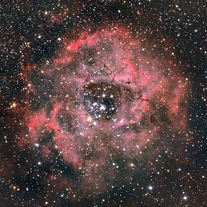 Rosette Nebula