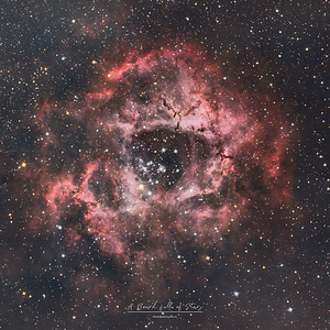 Rosette Nebula - Version 2