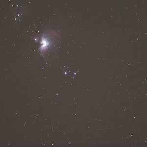 IMG_7837-1.JPG