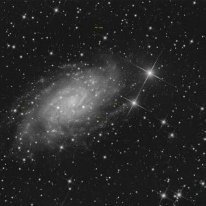 NGC2403_273x60s_KS.jpg